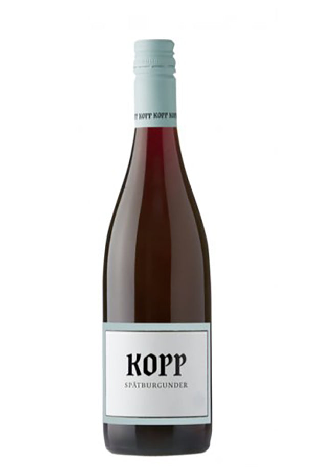 Weingut Kopp Spätburgunder Rotwein trocken - StillWine GmbH