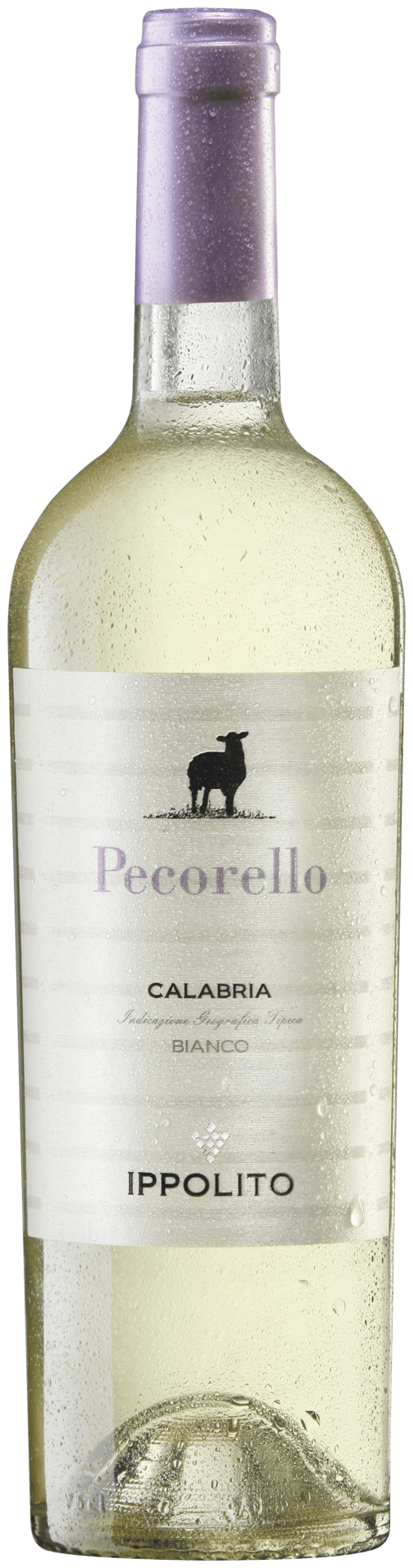 Ippolito Pecorello Calabria Bianco IGT - StillWine GmbH