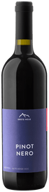 Erste + Neue Pinot Nero, Südtirol - Alto Adige - StillWine GmbH