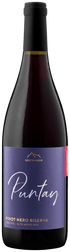 Erste + Neue Puntay Pinot Nero Riserva DOC, Südtirol - Alto Adige - StillWine GmbH