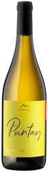 Erste + Neue Puntay Pinot Bianco DOC, Südtirol - Alto Adige - StillWine GmbH