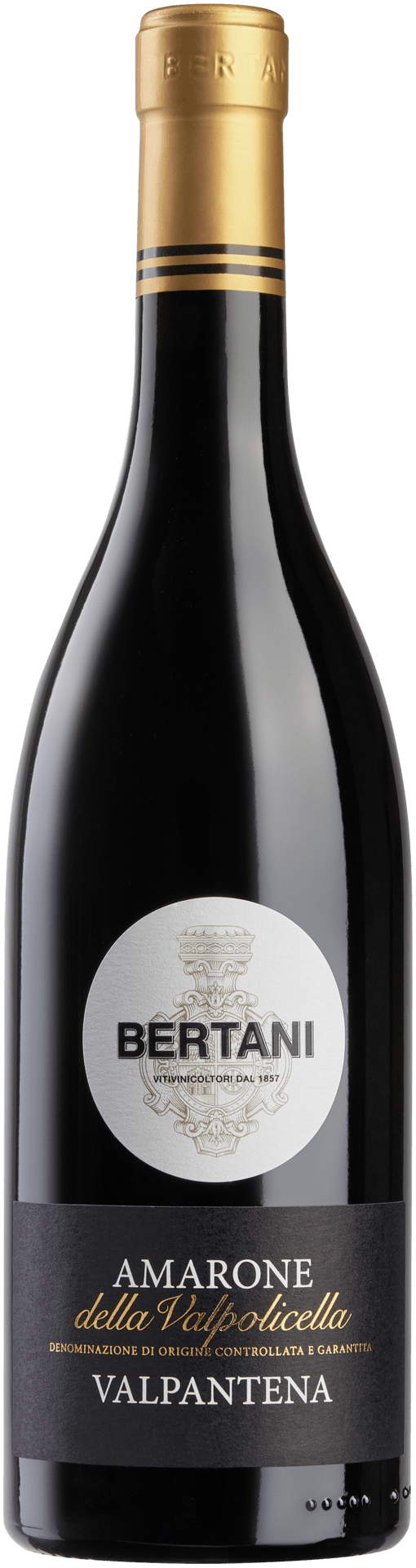 Bertani Valpaneta Amarone della Valpolicella DOCG - StillWine GmbH