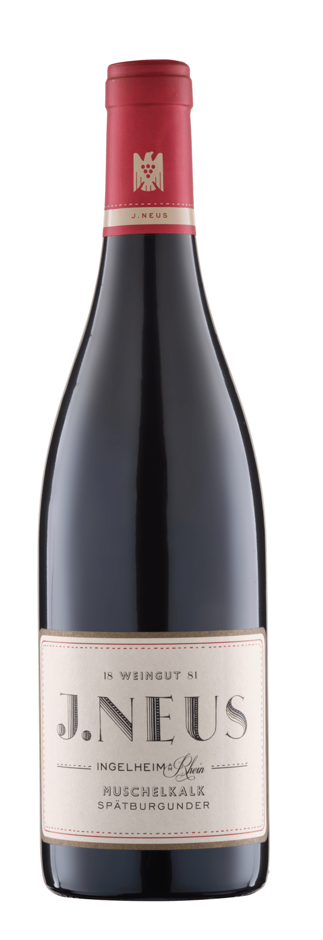 Weingut J. Neus Villa Neus Spätburgunder Muschekalk VDP Gutswein trocken - StillWine GmbH