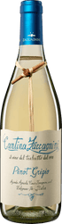 Zaccagnini Pinot Grigio IGT - StillWine GmbH