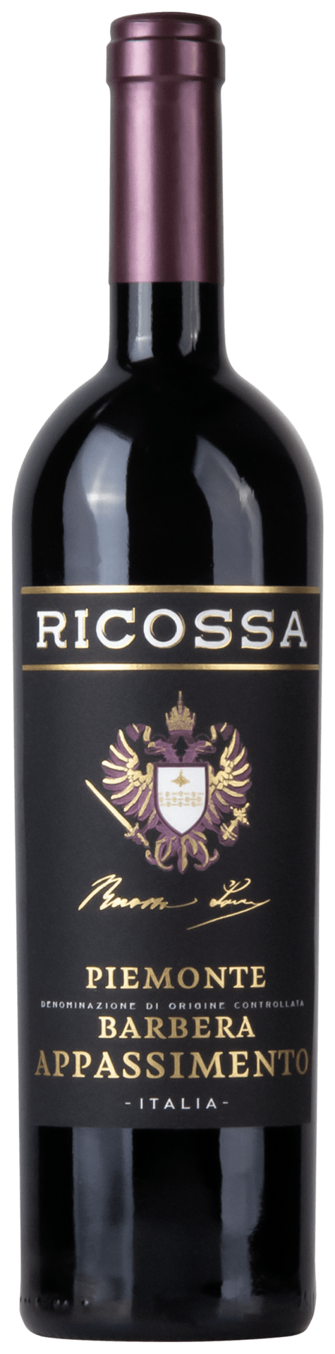 Ricossa Barbera DOC Appassimento - StillWine GmbH