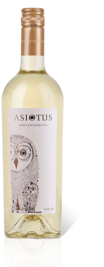 Asio Otus Vino Bianco Enigmatico Italia