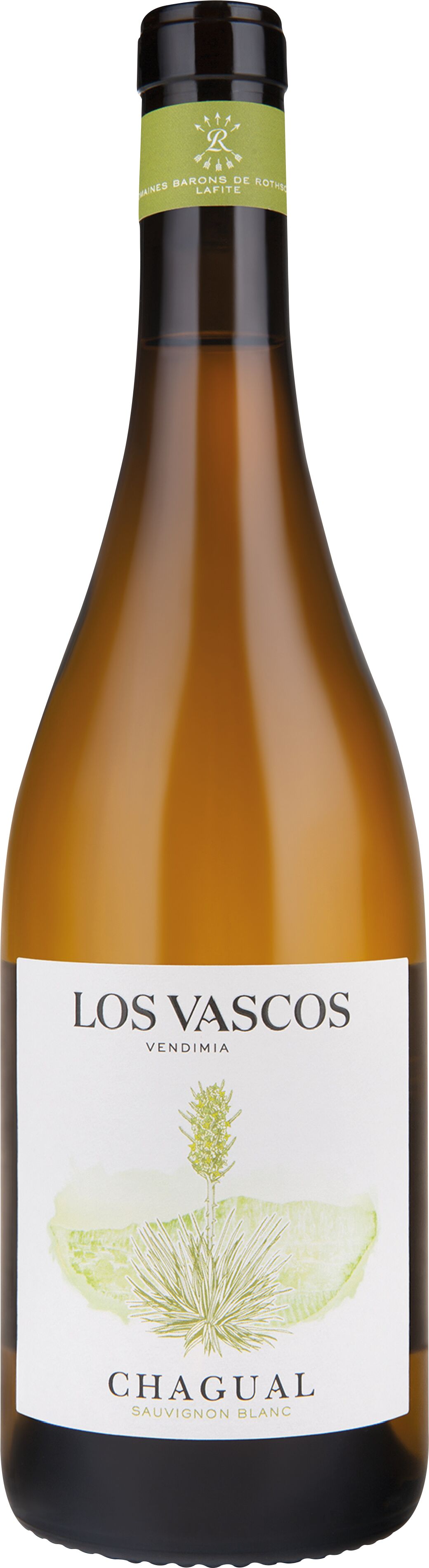 Los Vascos Chagual Sauvignon Blanc, Valle Central - Aconcagua Chile