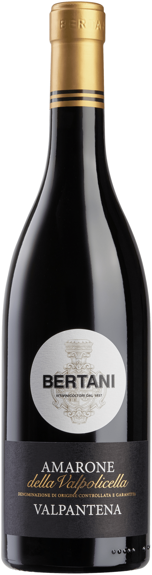 Bertani Valpaneta Amarone della Valpolicella DOCG