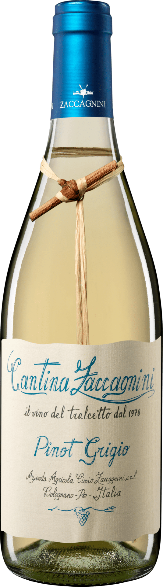 Zaccagnini Pinot Grigio IGT - StillWine GmbH