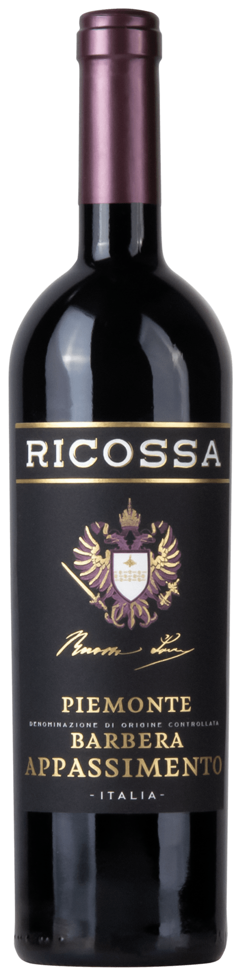 Ricossa Barbera DOC Appassimento - Einzelflasche