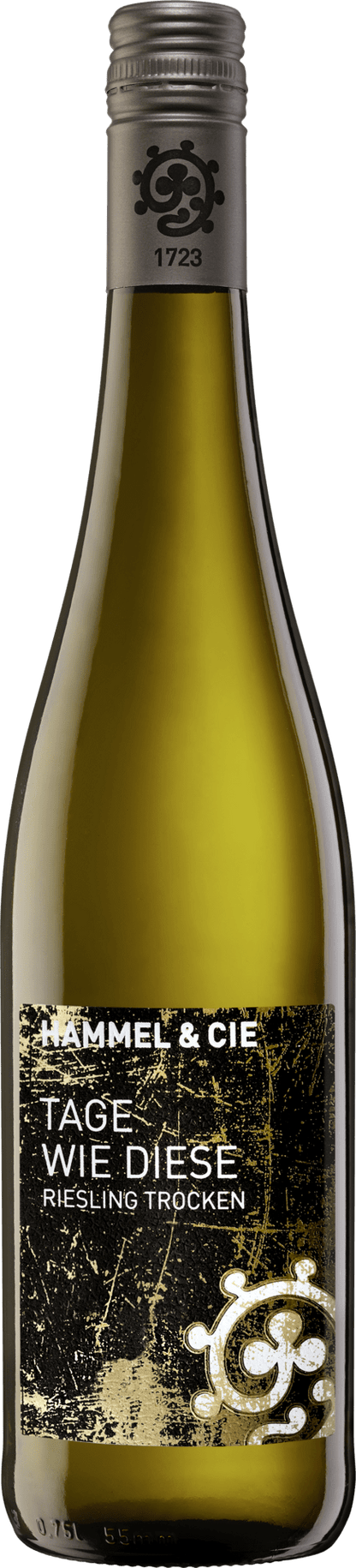 Weingut Hammel Tage wie diese Riesling trocken, Pfalz - Deutschland